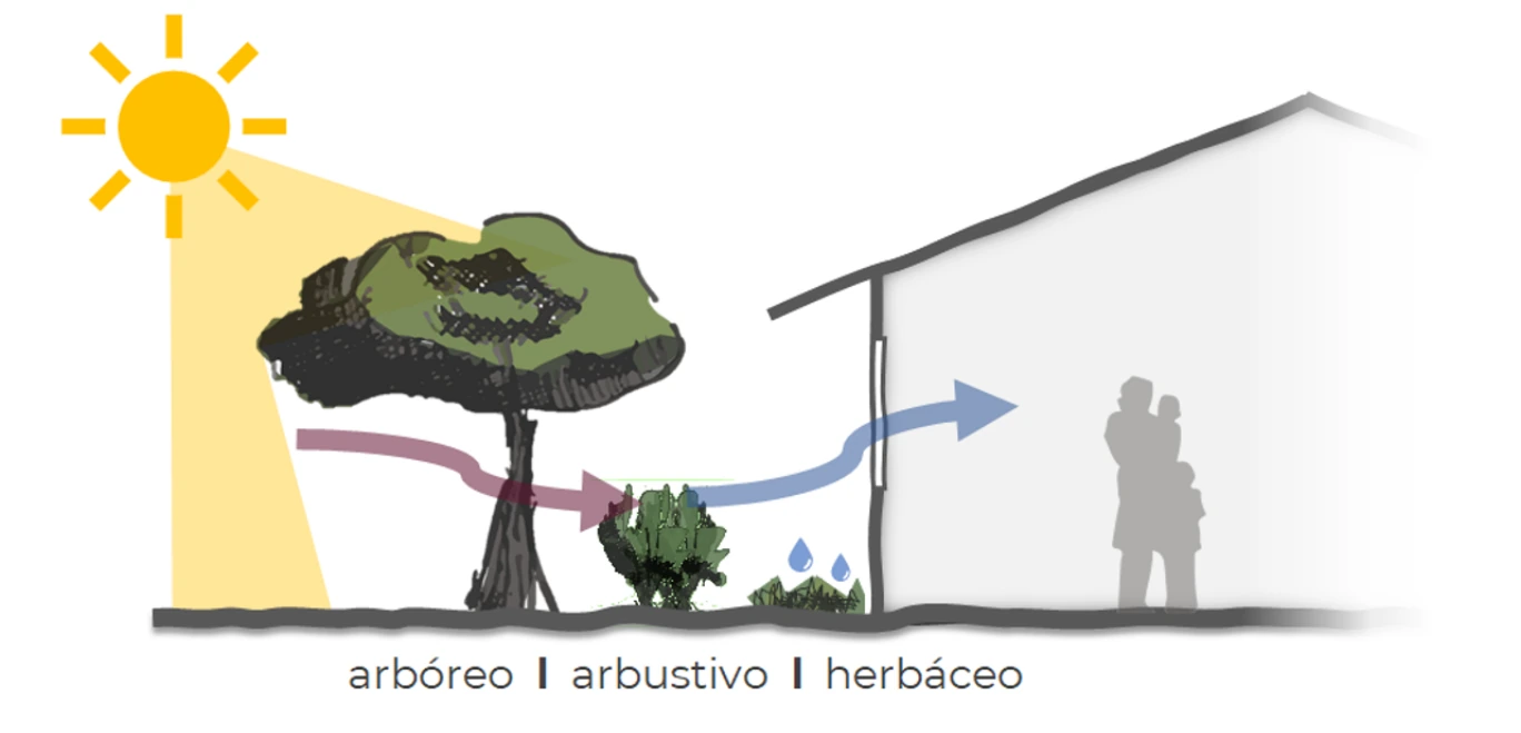 CONAVI-Schema von Pflanzen für Schatten und Windschutz rund um ein Haus.