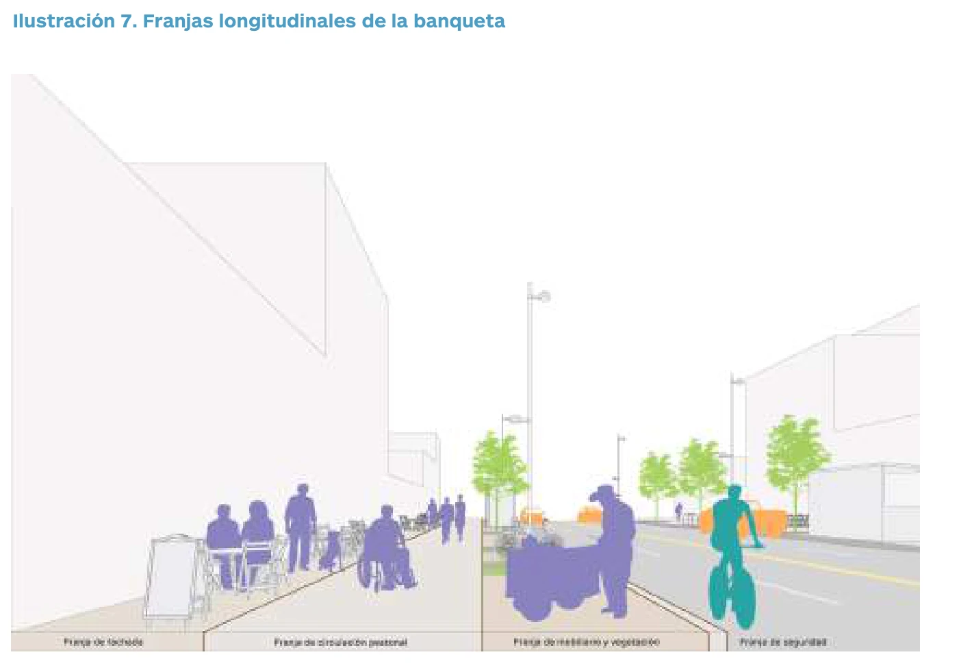 Sección ilustrada de una banqueta con franjas de fachada, circulación peatonal, mobiliario y vegetación y seguridad.
