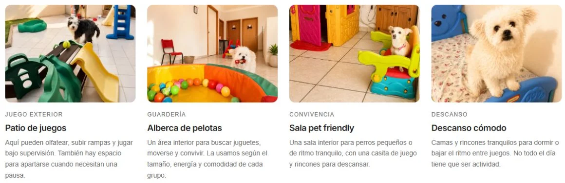 Villa CanInna gallery with photographs of patio, play, social and rest areas for dogs.